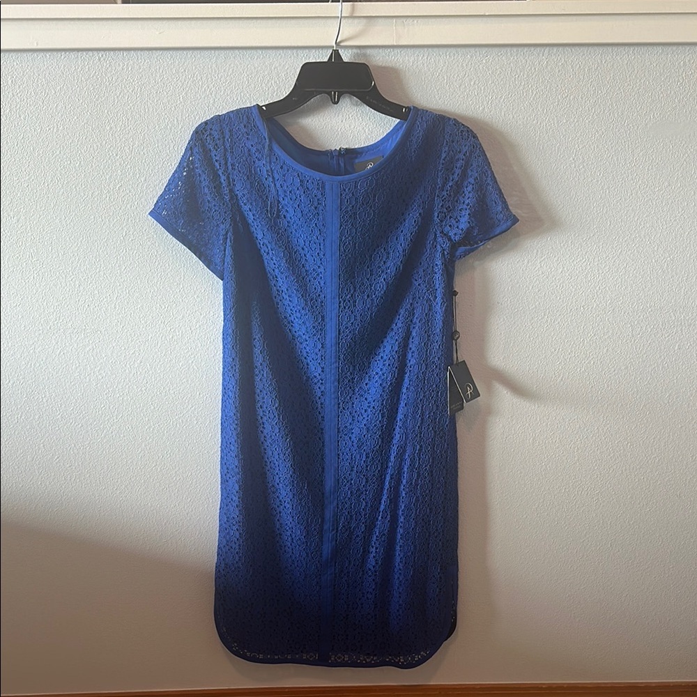 Royal Blue Adrianna Papell Lace Dress